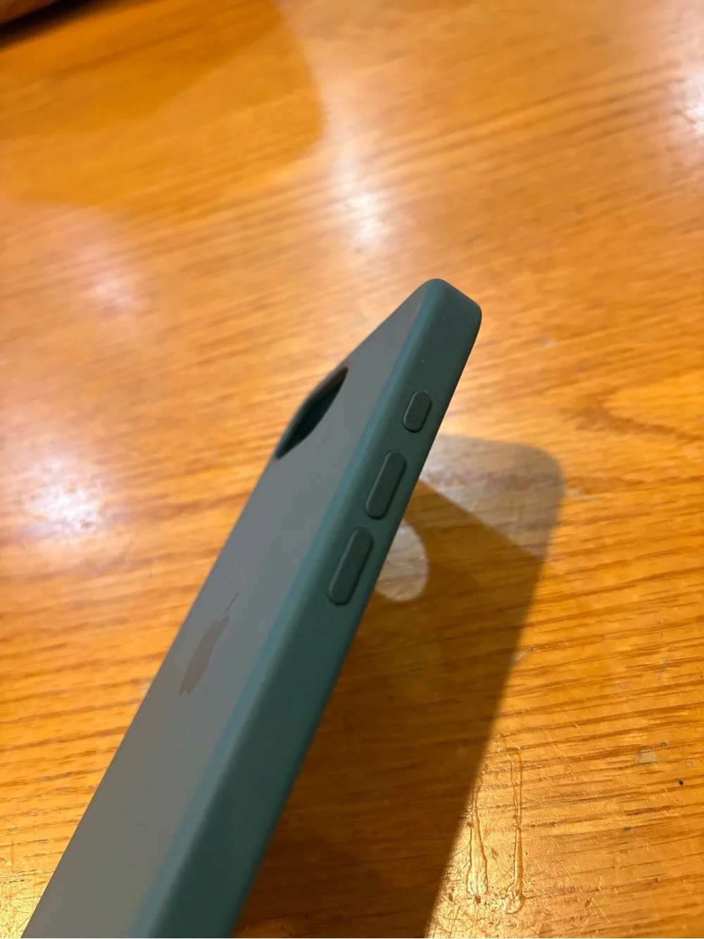 Apple Silicone iPhone 16se/ 17se Case - Forest Green